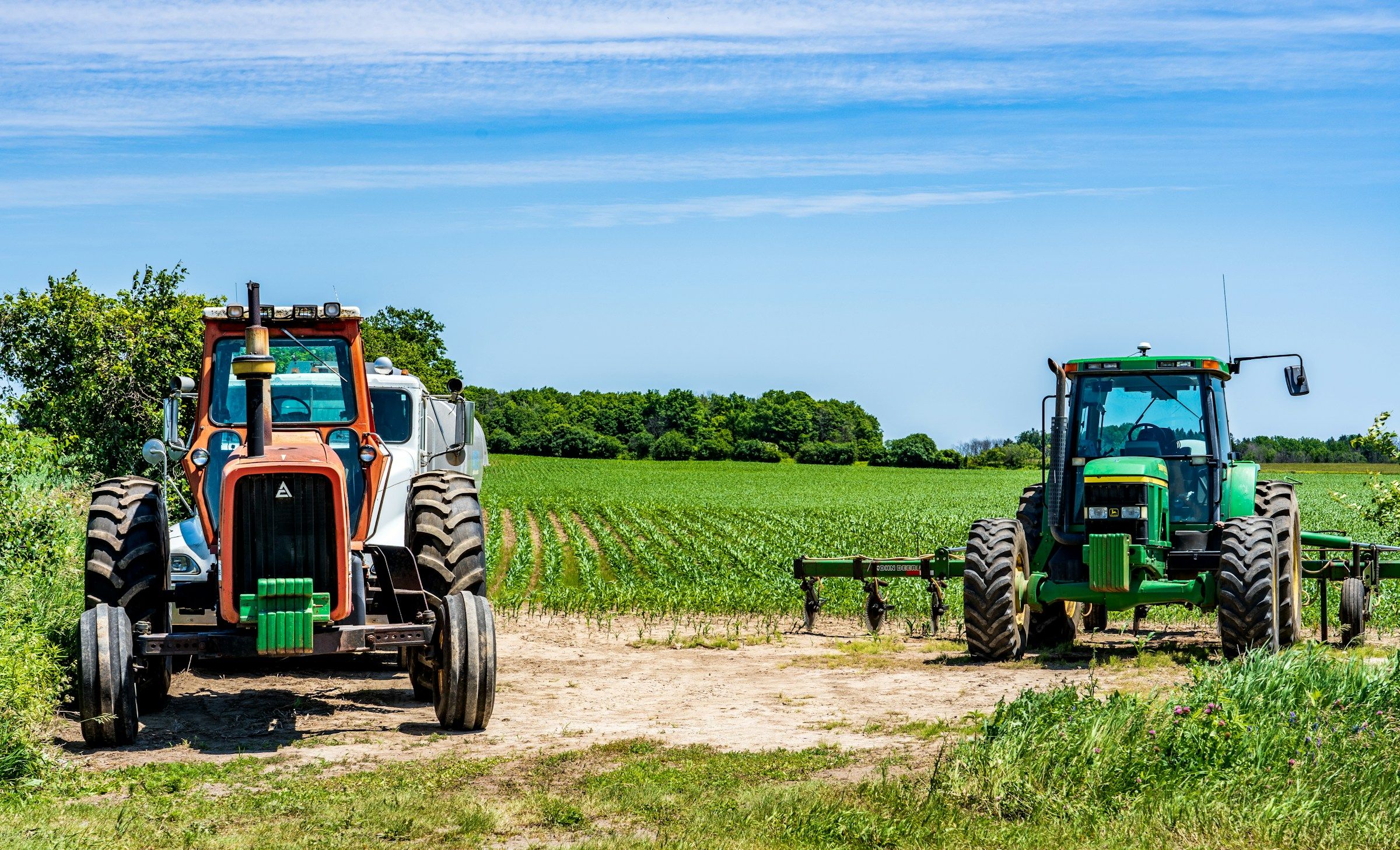 Cash Crops